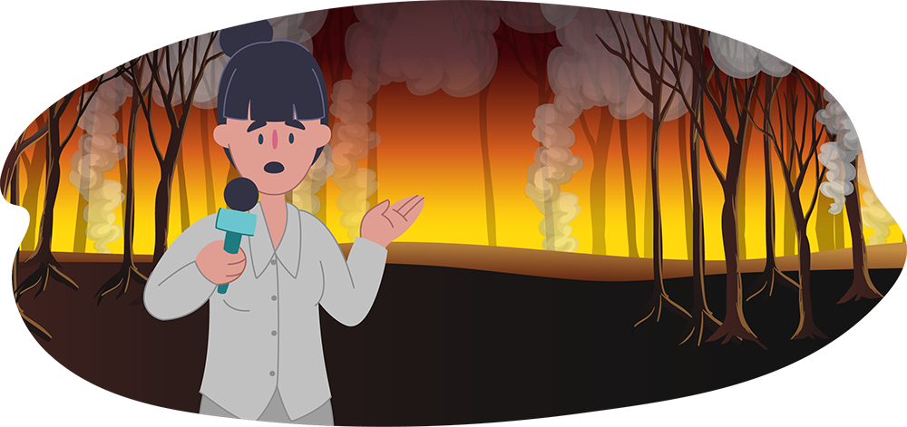 Bushfires